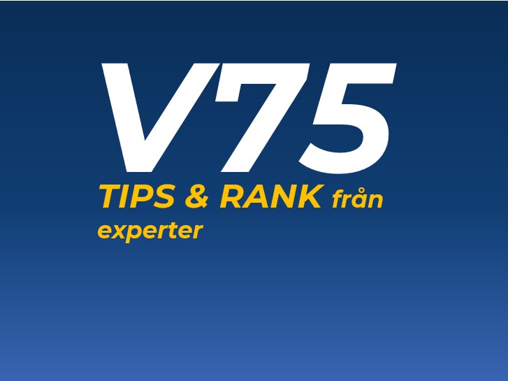 V75-tips, Halmstad lördag – Jackpot